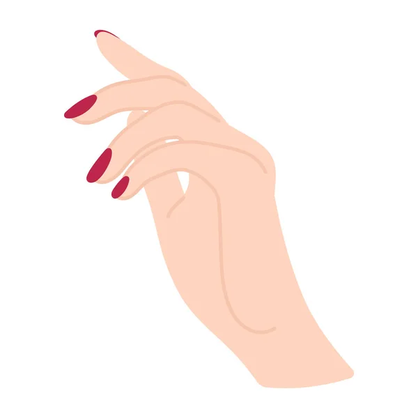 优雅的女性手 有红色的指甲 一个白人女人美丽的胳膊向下俯视 手指尖非语言的手势 精美精美的平面插图 简单的阵营 — 图库矢量图片