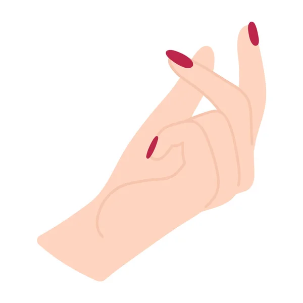美丽的女性的手 手掌向上 优雅的手臂 有一个白人妇女的手腕和手指 数钱的姿势在舔手指 非语言的语言 精美的平面插图 — 图库矢量图片