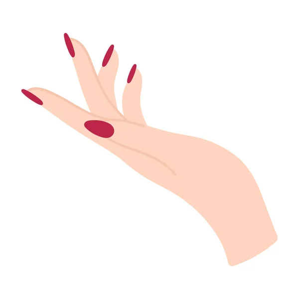 エレガントなマニキュアと女性の手 白い女の腕 ジェスチャーで聞いてください 言語以外の言語 パームアップ 手を取って 指を指してる フラットスタイルで繊細なミニマリストイラスト — ストックベクタ