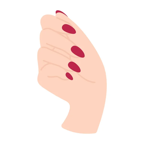 女性的手显示指甲在拳头上 棕榈转过来 一个白人女人的胳膊手势或手势 非语言的语言 简洁易懂的简约图例 漂亮的指甲 — 图库矢量图片