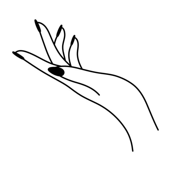 女性手势 轻轻触摸线形图标 非语言的语言 简单的向量极小化说明 在白色背景上孤立的图形元素 优雅的手掌 女人的胳膊 — 图库矢量图片