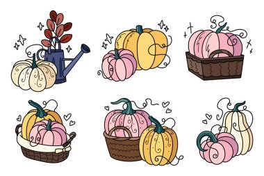 Sonbahar balkabağı koleksiyonu. Elle çizilmiş şirin ve samimi tasarım elementleri kümesi.