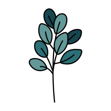 Yapraklı şirin yeşil dal. El çizimi ayrıntılı vektör illüstrasyonu.