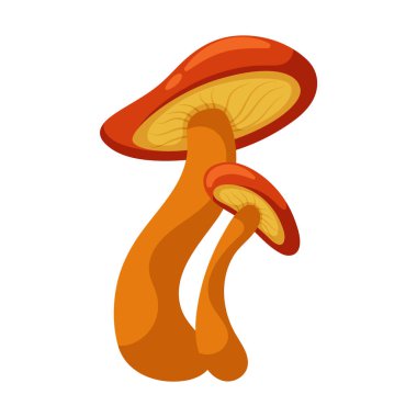 Sihirli yaban mantarı. Sonbahar ormanı ham maddesi. Çizgi film düz çizimi.