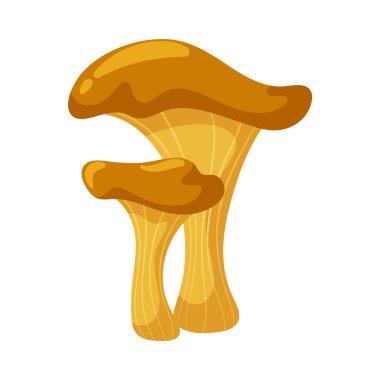 Chanterelle 'ler. Sihirli yaban mantarı. Sonbahar ormanı ham maddesi. Çizgi film düz çizimi.