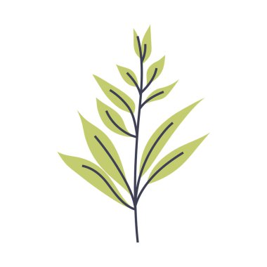 Uzun açık yeşil yapraklı bitki tasviri. Minimalist bitki tasarımları yapmak için mükemmel.