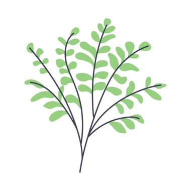 Yeşillik bitkisinin basit bir çizimi. Minimalist ve modern bitki tasarımları yaratmak için mükemmel.