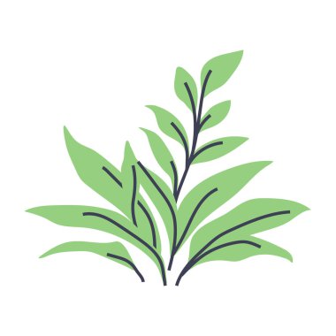 Güzel yeşil bitkinin basit bir çizimi. Minimalist bitki tasarımları yapmak için mükemmel.