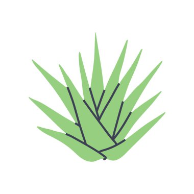 Yeşil aloe bitkisinin basit bir çizimi. Minimalist bitki tasarımları yapmak için mükemmel.