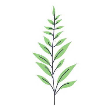 Uzun yeşil bitkinin basit bir çizimi. Minimalist ve modern bitki tasarımları yaratmak için mükemmel.