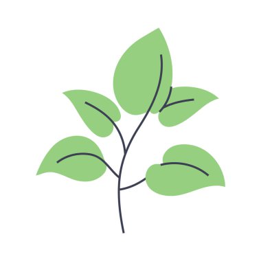 Büyük yeşil yapraklı bitki tasviri. Minimalist ve modern bitki tasarımları yaratmak için mükemmel.