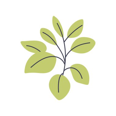 Açık yeşil bitkinin basit bir çizimi. Minimalist bitki tasarımları yapmak için mükemmel.