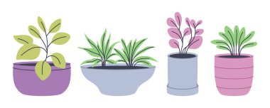 Ev dekoru, bahçe ya da çevre dostu tasarımlar için mükemmel, düz stil renkli soyut bitkiler.