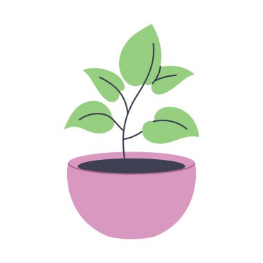 Pembe tencerede şirin bir bitki. Modern ve doğal tasarımlar için ideal..