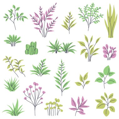 Ev bitkileri, dallar ve yapraklar. Minimalist ve modern bitki tasarımları yaratmak için tırmanışlar