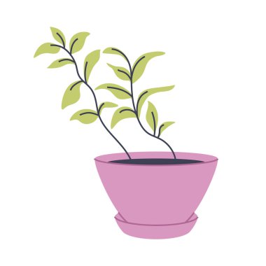 Yeşil yapraklı, pembe tencerede bitki, illüstrasyon. Çeşitli botanik ve doğa tasarımları için harika..