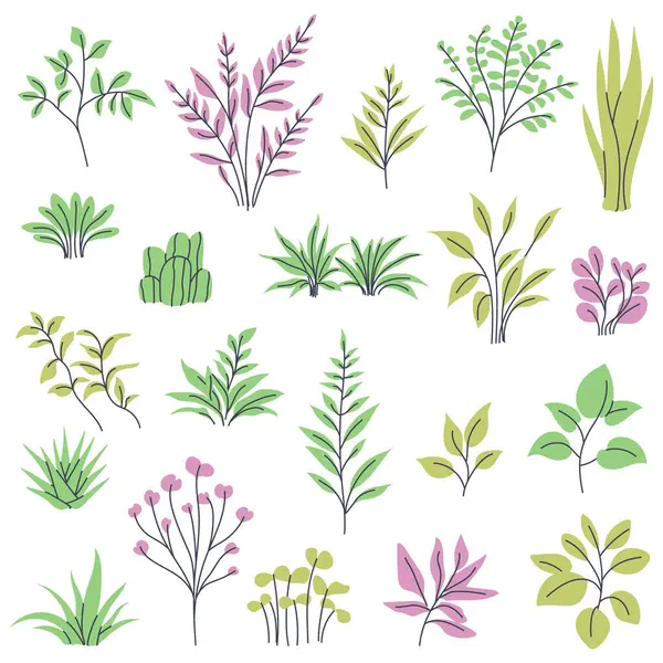 Ev bitkileri, dallar ve yapraklar. Minimalist ve modern bitki tasarımları yaratmak için tırmanışlar