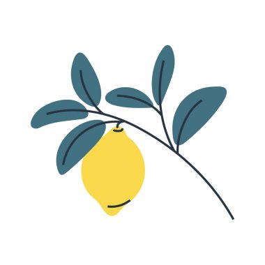 Yapraklı limonun basit bir çizimi. Yaz için mükemmel, botanik ve gıda tasarımları için..