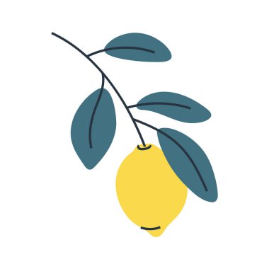 Yapraklı limonun minimalist çizimi. Yaz ve yemek tasarımları için mükemmel..