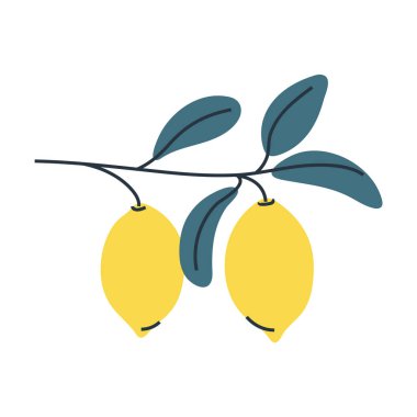 Yapraklı iki limonun minimalist çizimi. Yaz ve yemek tasarımları için mükemmel..