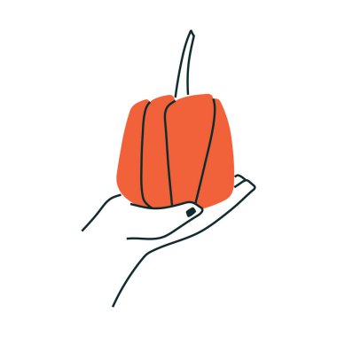 Kırmızı balkabaklı eller. Hasat zamanı