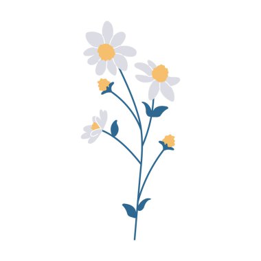 Beyaz papatyaların basit bir çizimi. Minimalist ve modern çiçek tasarımları yapmak için mükemmel..