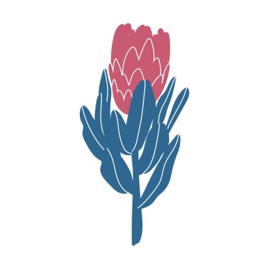Pembe protea çiçeğinin basit bir çizimi. Minimalist çiçek tasarımları yapmak için mükemmel..