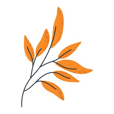 Sonbahar yaprakları dalı, sonbahar tasarımları için mükemmel Şükran Günü davetiyesi, ya da dekoratif aksanlar..