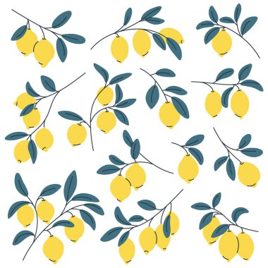 Olgun limonlu limon dalları. Yaz için mükemmel, botanik ve gıda tasarımları için..