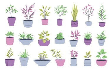 Saksı bitkilerinin çizimleri. Minimalist ve botanik tasarımlar için mükemmel..