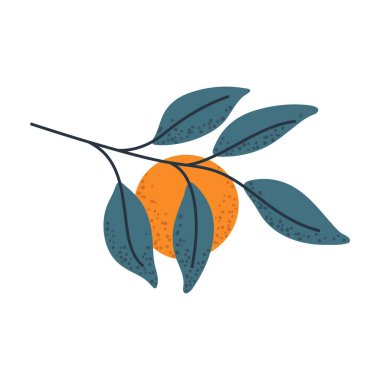 Portakallı şube, gıda ambalajı, narenciye logosu ya da taze tasarım elementleri için ideal..