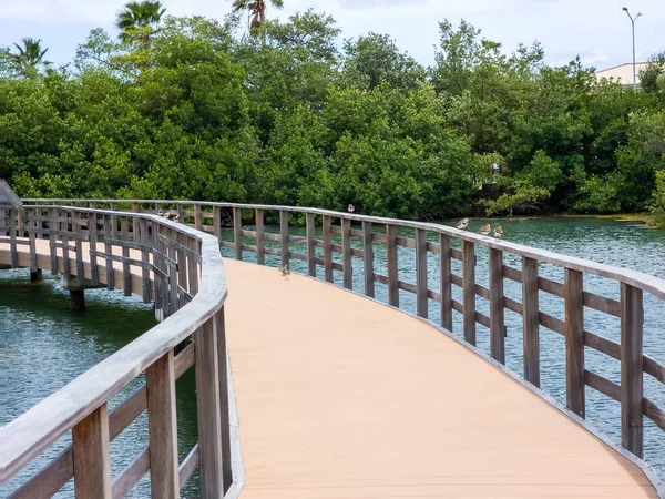 Curacao Willemstad adasındaki su yolu manzarası çok güzel. Karayiplerdeki Mangrove Parkı.