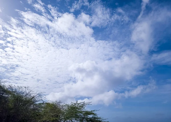 Ágak Háttér Gyönyörű Felhők Égen — Stock Fotó