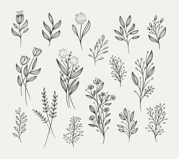 Ручной иллюстрационный набор цветов и листвы, декоративный орнамент