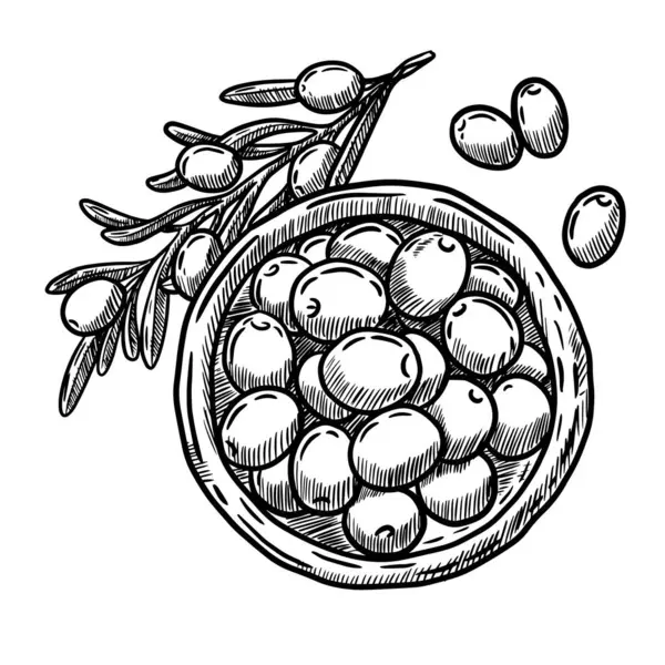 Elle çizilmiş zeytin, restoran aperatifleri, İspanyol yemekleri.