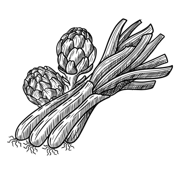 Vektör el çizimi, calots, chives, tipik Katalan yemeği, İspanyol yemeği, enginarlı