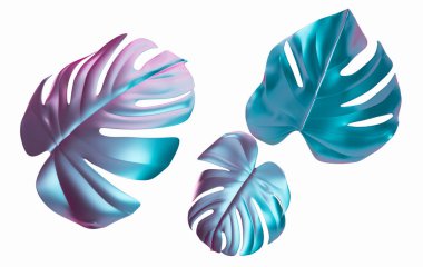 Sanal canavar yaprakları beyaz arka planda izole edilmiş. Grafik tasarım elemanlarını kes. Moda ve fütürist, yanardöner nesneler. 3B görüntüleme