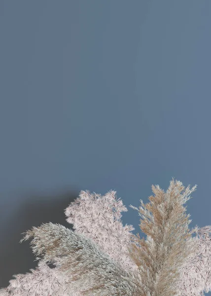 Вертикальный Фон Сушеными Растениями Пустое Место Текста Нижняя Граница Копировальным — стоковое фото