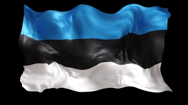 Animasi Mengibarkan Bendera Estonia Dengan Latar Belakang Hitam Mewujudkan Semangat — Stok Video