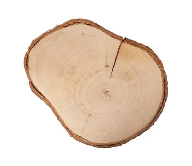 Bu ahşap tabaka, doğal tahıl ve dokuları sergiliyor, çok yönlü bir tabela ya da taban görevi görüyor. Beyaz bir arka planda izole edilmiş, kaba bir kabuk kenarıyla vurgulanır.