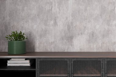 Bu iç mekan, boş duvarlı, sanat eserlerini sergilemek için ideal minimalist bir tasarıma sahip. Gösterişli bir rafta kitaplar ve genel estetiği geliştiren yeşil bir saksı bitkisi var. 3 Boyutlu Hazırlama