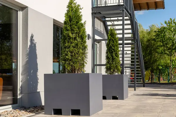 Çağdaş iki gri bitki örtüsü yemyeşil çalılarla dolu modern bir binanın yanında konumlandırılmıştır. Güneş ışığı gölgeler oluşturuyor, temiz çizgileri ve mimariyi vurguluyor..