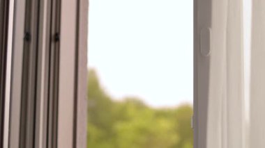 Sakin bir günde sessizliğin tadını çıkarmak için pencereyi kapat. Güneş ışığı, gün batımından hemen önce sakin ve davetkar bir ortam yaratarak rahat yaşam alanına sızar..