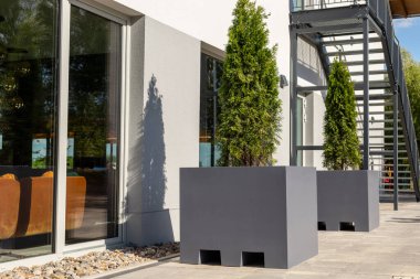 Tarz sahibi kare ekiciler bir binanın geniş pencerelerinin yanında oturur ve güneşin altında yeşillik sergilerler. Kentsel tasarım çevreyi mükemmel bir şekilde tamamlıyor, hoş bir atmosfer yaratıyor..