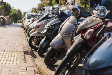 Açık gökyüzünün altında hareketli bir şehir caddesi boyunca çeşitli motosikletler park halindedir. Palmiye ağaçları, sıcak güneş ışığıyla dolu canlı sahneye tropikal bir hava katar..