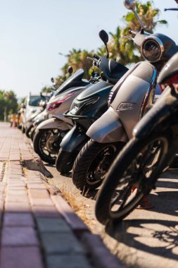 Motorlu mobiletler güneşli bir kaldırım boyunca düzgün park edilir. Sahne, arka planda palmiye ağaçları olan canlı bir şehir atmosferi yakalıyor ve şehirde tipik bir gün yaşanıyor..