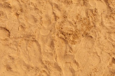 Ayak izleri kumlu bir yüzeye dağılmış durumda. Bu da öğlen vakti bir kıyı bölgesinde hareket ve hareketlilik olduğunu ve güneşin çevreyi aydınlattığını gösteriyor..