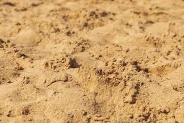 Güneşli bir öğleden sonra, kumsaldaki altın kum zemini kaplar. Rüzgar ve ayak izlerinden oluşan doğal desenler görülebilir, güneşlenmek ve gezmek için mükemmeldir..