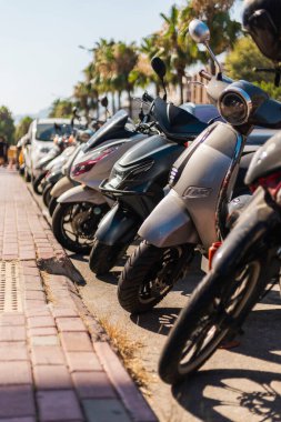 Mobiletler ve motosikletler güneşli bir cadde boyunca düzgün bir şekilde park edilir, parlak bir günde arka planda palmiye ağaçları vardır. Sahne şehir yaşamını ve ulaşım seçeneklerini yakalıyor.