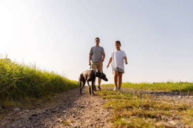 Bir adam ve oğlu kirli bir patika boyunca keyifli bir yürüyüşe çıkarlar, köpekleriyle birlikte gün batımının tadını çıkarırlar. Doğada huzurlu bir anı paylaşıyorlar..